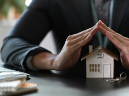 Steven Joseph Wolfe - Real Estate Portfolio